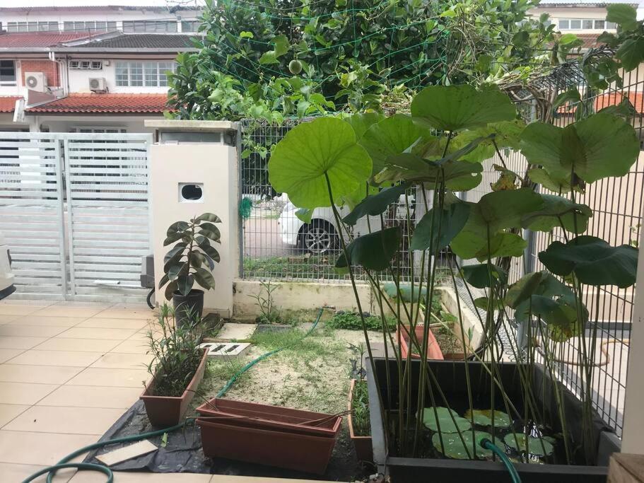 Terrace House Near Stulang Laut Ciq Midvalley Ksl For 7Pax Johor Bahru Exteriör bild